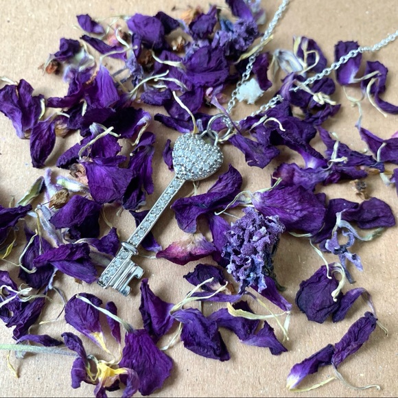 New Heart Key Crystal Sterling Pendant Necklace - Picture 9 of 10